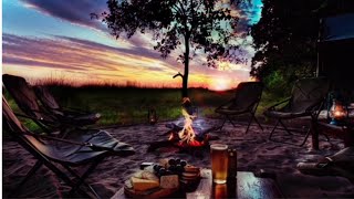 Campfire Ambiance  Relaxing Fireplace and Nature Sounds