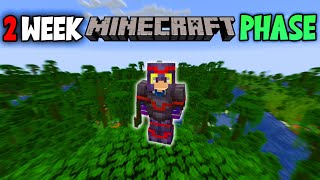 Why The 2 Week Minecraft Phase Always Dies
