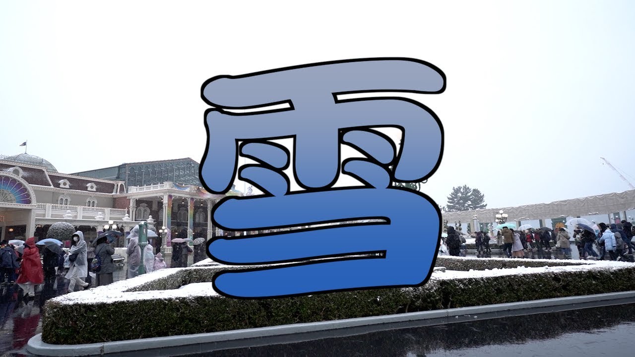 【ドキュメント】雪の中ディズニーランドを１周してみた（2019年2月9日 TDL）
