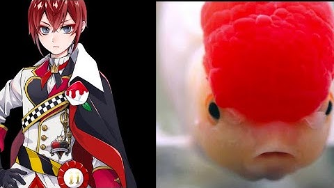 Side by side comparison of Floyd’s nicknames by the twist boys