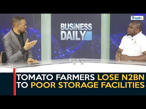 Tomato Farmers Lose N2bn To Poor Storage Facilities Amid Bumper Harvest | Business Daily