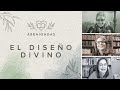 El diseño divino | Yamell de Jaramillo, Laura González de Chávez & Patricia de Saladín