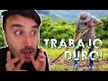 ASI TRABAJA UN CAMPESINO PERUANO🇵🇪 MAS NEGOCIO QUE LA COCA!🤠