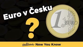 Ako by to vyzeralo, keby sa v ČESKU PLATILO EUROM?