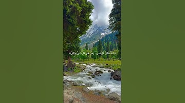 الله خالق كل شيء تلاوة رائعة للقارئ عمر الدريويز #quran #قران_كريم #اكسبلور #قرآن #duet