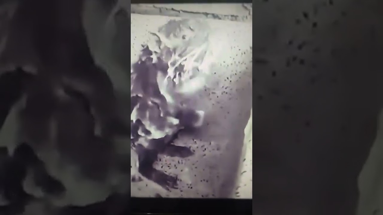 dirty (rat) taking shower with soap just like humans do adlı videoyu YouTube'da izle dirty (rat) taking shower with soap just like humans do adlı videoyu YouTube'da izle