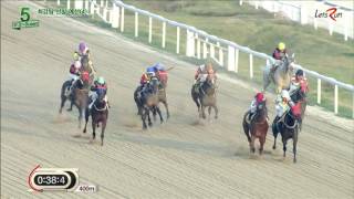 20161014 렛츠런파크 부산경남 5경주 1000m