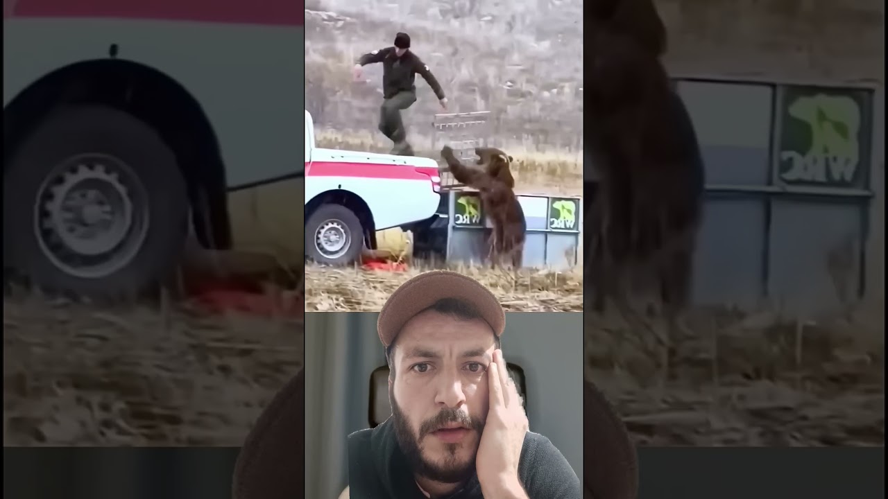 Whatt ? ayiya bak senn saldirgan 