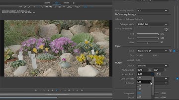 ARRI Tech Tip: ARRIRAW Converter - How to define a custom output format