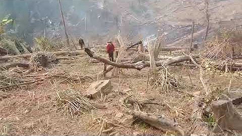 #khawbqos hnub no khawb qos tag lawm os qos ntug kawg li os