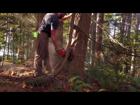 ATR,  GRAPPLE SKIDDER RESIDENTIAL LOGGING.4K