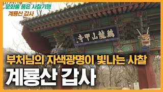 부처님의 자색광명이 빛나는 사찰 계룡산 갑사 [문화를 품은 사찰기행]