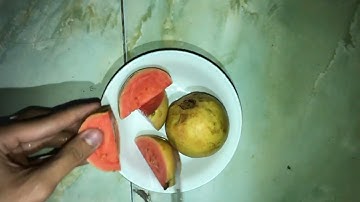 Procedure Text "How to make guava juice"