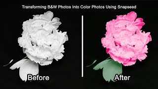 How to transform Black and White photos into colored photos using Snapseed | Tutorial | screenshot 5
