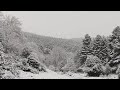 Bonita nevada que dejó la borrasca Juan en la Sierra Cebollera de Villoslada de Cameros (La Rioja)