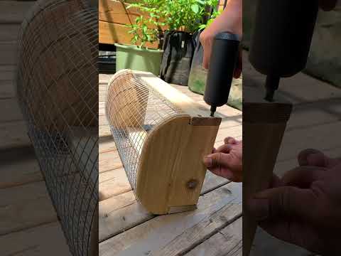 ვიდეო: წვრილმანი ბაღის კალათა: ფოტო, ინსტრუქცია