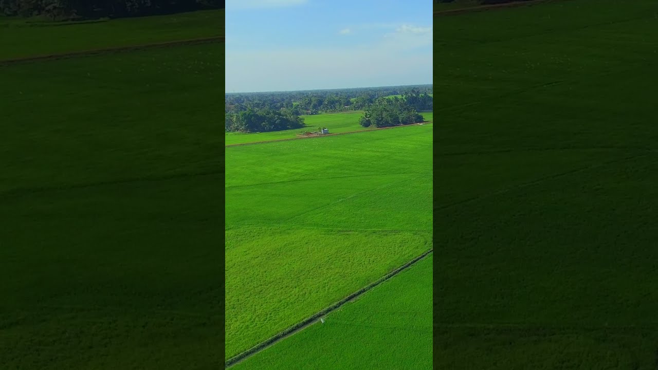 Beautiful Nature Videos of Kainakary | Kuttanad | Alleppey  Kerala 2021 | Helicam Footages