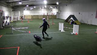 Deseo/Working obstacle versus handler focus