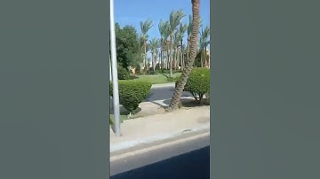#surahkawthar #سورة_الكوثر #like #quran #travel #love #nature #egzonibrahimi #viralvideo #subscribe