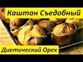 Каштан Съедобный - Диетический Орех. Идеален для Вегетарианской Диеты