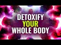 Detoxify Your Whole Body: Block Destructive Energy, Healing Energy Binaural Beat, Cleanse Infection