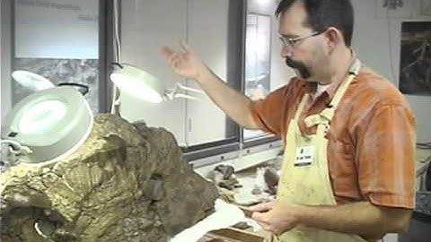Tour the MNS Fossil Prep Lab