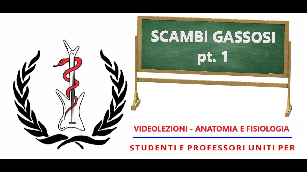 Anatomia e Fisiologia - Fisiologia degli scambi gassosi pt. 1