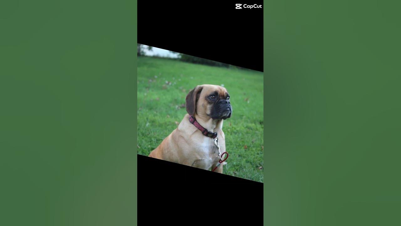may-she-rest-in-peace-youtube