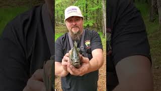 Pond Management FOR GIANT SHELLCRACKERS