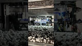 HX 800 Mushroom Harvesting Robots from 4AG Robotics