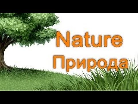 Учим английские слова c произношением на тему Природа