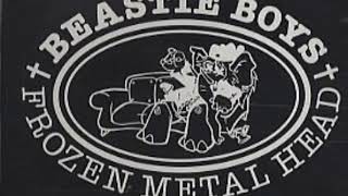 Beastie Boys - Frozen Metal Head