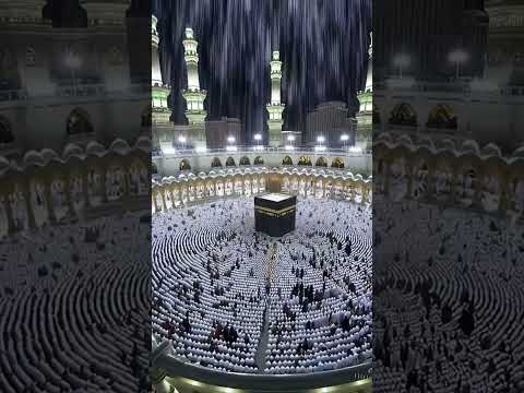 م ح م د س ي د ال ك و ن ي ن و الث ق ل ي ن      