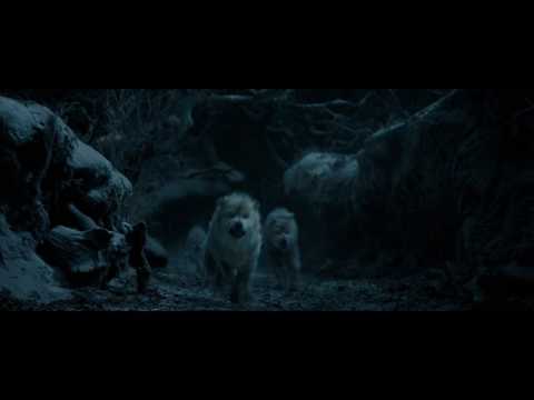Disney's Beauty & The Beast – In Theatres in 3D 3.17.17 - Disney's Beauty & The Beast – In Theatres in 3D 3.17.17