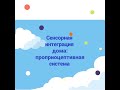 Сенсорная интеграция дома: Проприоцептивная система