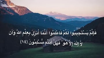 ما تيسر من سورة هود - الشيخ ياسر سرحان الديب