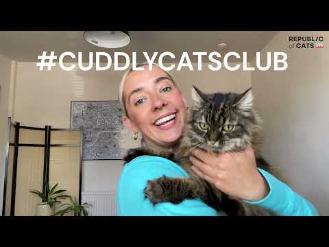 Cuddly Cats Club