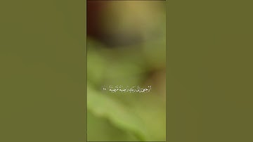 الآيات: 27 28 29 30 من سورة الفجر #رعد_الكردي  #explore