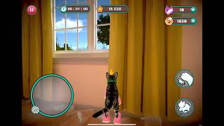Cat Simulator 2: House 2, Ground Floor (29,715 Points)