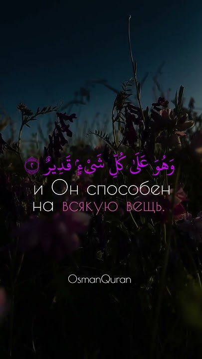 Сура:《Аль-Хадид》Аят:1-4,Чтец:Умар Хафиз #коран #quran #umar #osman # ...
