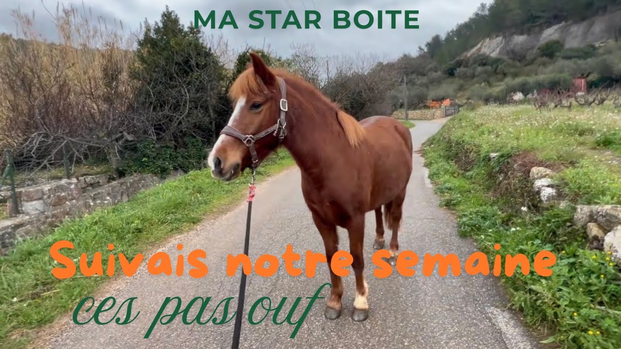 Cette semaine avec ma star ne s’est PAS passée comme prévu !!