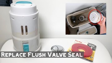 How to Replace Dual Flush Toilet Valve Seal
