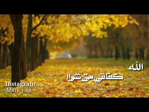 احمد العقاد يا ورقة وقعت من شجرة حالات واتس أب