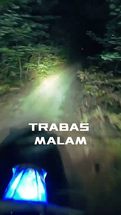 NIGHT ADVENTURE IN JUNGLE