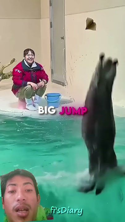 Otters are happy when they see their owner #shorts #cute