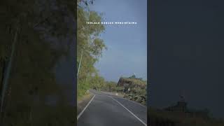 Lirik Lagu Rungkad entek-entekan Story wa