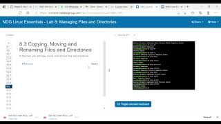 NDG Linux Essentials   Lab 8  Managing Files and Directories Profile