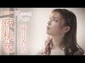 【公式】藤井香愛「一夜桃色」ミュージックビデオ