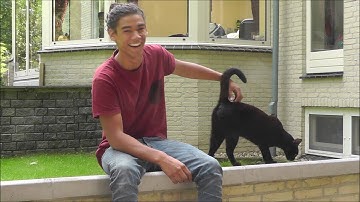 ERG Scirocco R36: Passat Engine Removal [PT01]