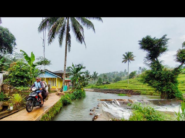 Hujan Gerimis Di Kampung Lumbung Ikan,,Menambah Suasana Syahdu Di Pagi Hari Pedesaan Jawa Barat class=